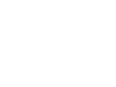 Eagles Athletics Logo