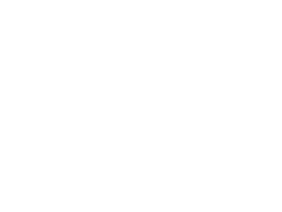 Papa Johns